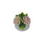 Diffuseur d'huile de porcelaine 8 "avec roses Capodimonte-98049476