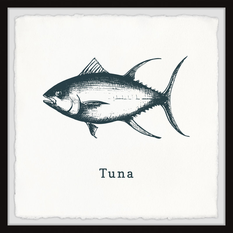 Tidworth Trout And Tuna B by Marmont Hill - Single Picture Frame Print