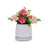 Colorful Ceramic Flowerpot-21610838