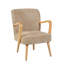 Modern Soft Touch Fabric Accent Chair-936144407