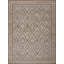 Geometric Area Rug in Brown