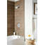 Concetto Rain Shower Head