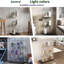 Display Cabinet-179638582
