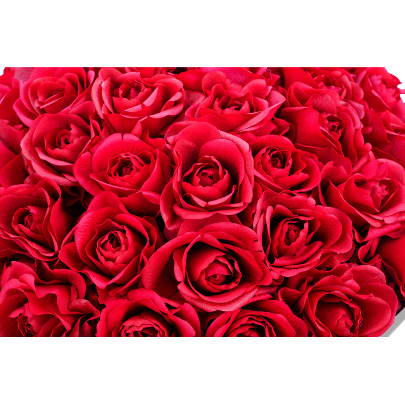 Valentina RealTouch Rose Arrangement