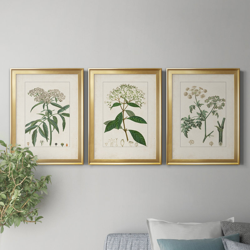 Antique Turpin Botanical VII - Ensemble de 3 peintures sur toile encadrées, H 22,5 po x l 91,5 po x P 1,5 po, Doré