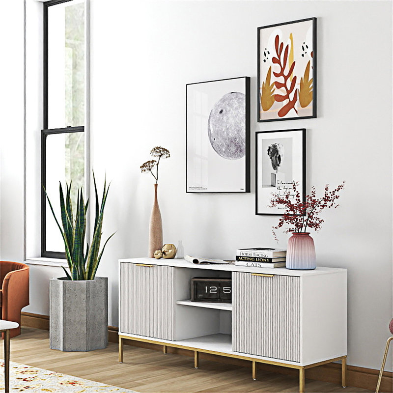 TV Stand With Storage