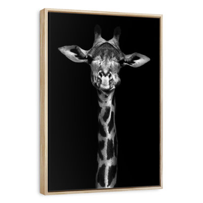 Giraffe Head Monochrome