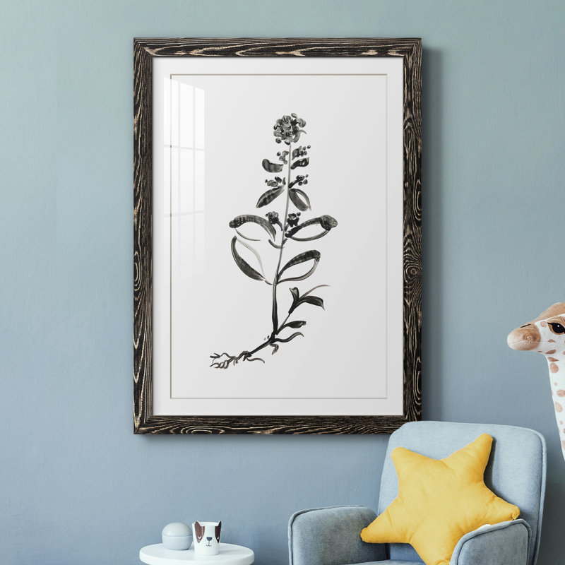 Inky Botanical III - peinture encadrée, Cadre noir, H 31,5 po x l 23,5 po x P 1,5 po