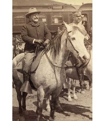 " Roosevelt "