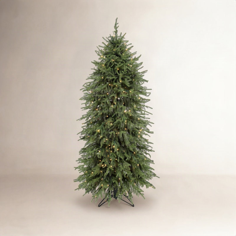 Arbre Norfolk 5 '3m