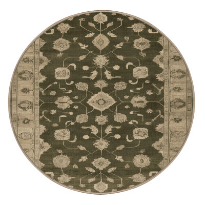 Machine Washable Overdyed Brown Area Rug