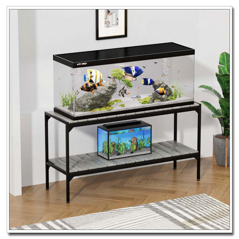 Support d'aquarium plat pour nouilles plates