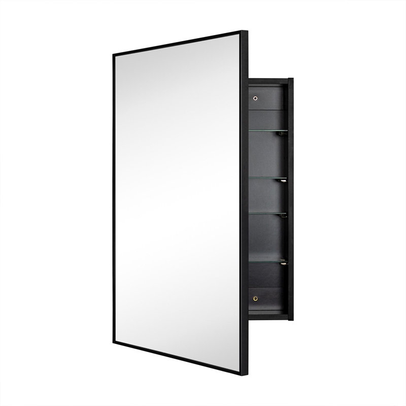 Armoire à pharmacie de salle de bain encastrée et à fixation en surface 20 po x 30 po avec miroir Velin, Noir