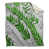 Moyen vert blanc