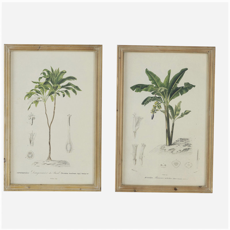 S/2 Tree Framed Print, 15.5x23.5"