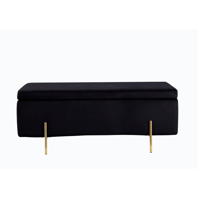 Banc de rangement à couvercle rabattable Mithra, Noir