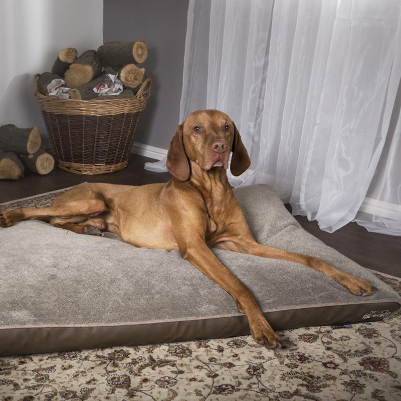 Chateau Orthopedic Polyester Pet Bed, Latte, 8cm H x 100cm W x 70cm D