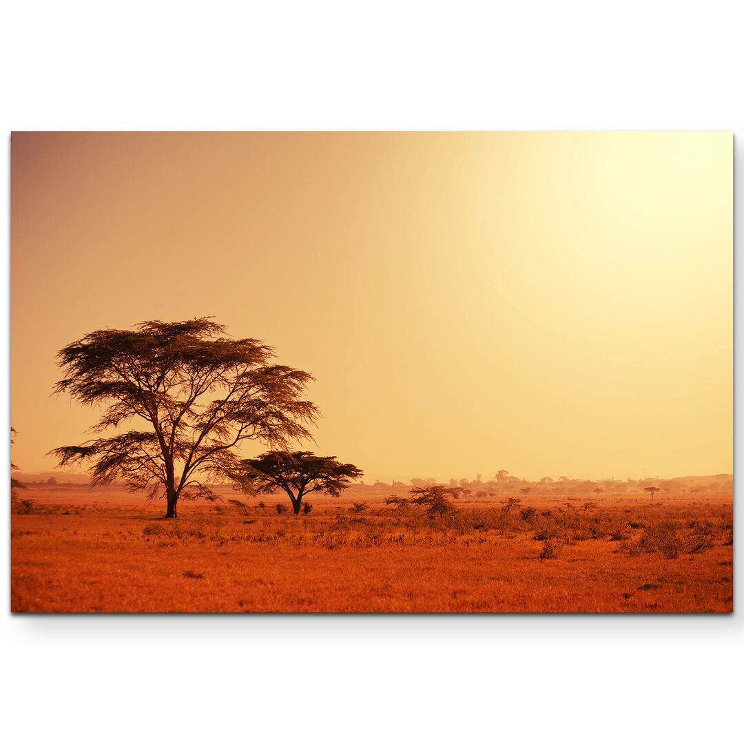 Leinwandbild Köcherbaum in Namibia – Afrika