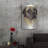 " Mastiff " by Barbara Keith-4757526