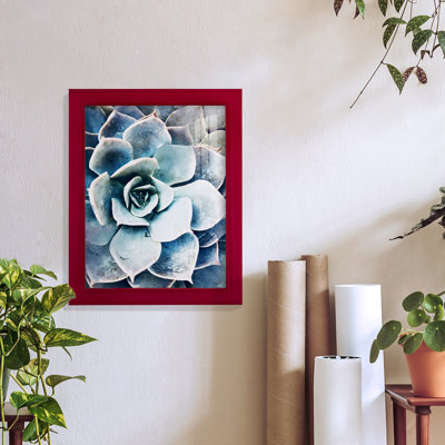 Pastel Succulent Beauty III, encadré sur papier
