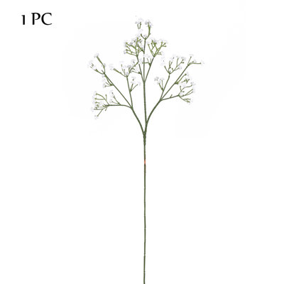 Baby's Breath Stem