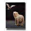 "Faire des amis" par Lucia Heffernan-156962045