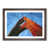Walnut Framed selected