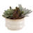 9'' Faux Succulent in Ceramic Pot