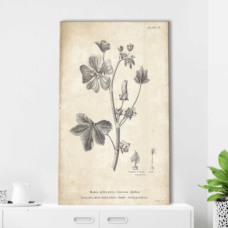 Conversations on Botany 7 - Peinture, L 18 po x H 30 po, Toile tendue