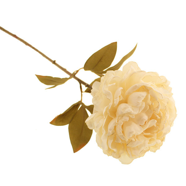 Arrangement, Cream