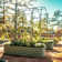 Add Ons 90'' H x 54'' W Metal Arched Trellis