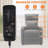 Manual Recliner Chair Winback Single Sofa