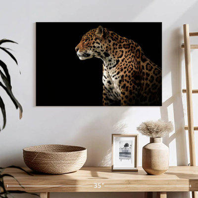 Brampt Midnight Jaguar