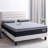 Upholstered Bed-544494816-544494818