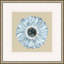 Daisy 1 Framed Print