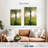 Harnek Sunlit Birch Tree-108237321