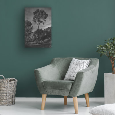 Bolog Pepa Aston Arbores Canvas Art