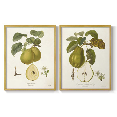 Vintage Pears III - reproduction encadrée de qualité supérieure - prête à être accrochée - aucun clou requis - aucun clou requis
