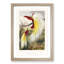 Two Birds of Paradise by Benjamin Fawcett - Picture Frame Painting Print-55777833-55777840