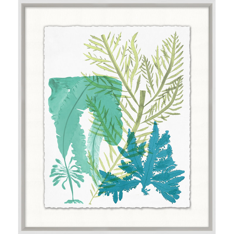 Deep Sea Kelp 6 Print