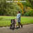 Foldable Pet Stroller with-69599046