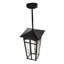 LED Pendant
