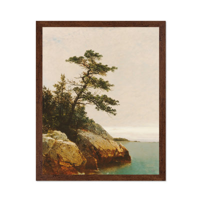 The Old Pine
