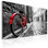 " Vintage Red Bike "