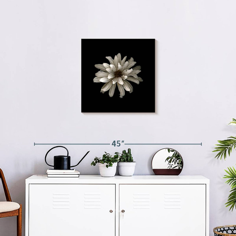 Harnek tout blanc