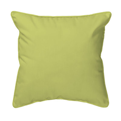 Oyster Outdoor Throw Pillow