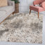Tapis d'intérieur / extérieur crème / beige / gris foncé Angilina-2060608206