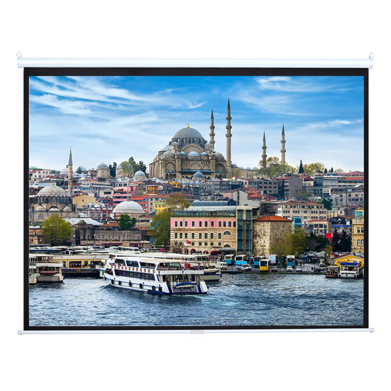 Latitude Run Electric Projector Screen Projector Screen, 152cm H x 227cm W