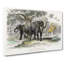 Asian Elephants by Oliver Goldsmith - Wrapped Canvas Painting Pint - Wrapped Canvas-55367565