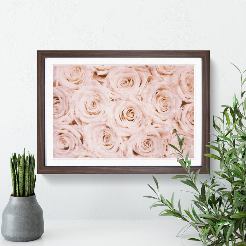 Wall of Pink Roses - Picture Frame Graphic Art Print, 62cm H x 87cm W x 2cm D, Walnut Framed